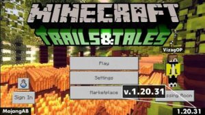 Minecraft 1.20.31 1