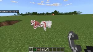 Minecraft 1.20.70.20 1