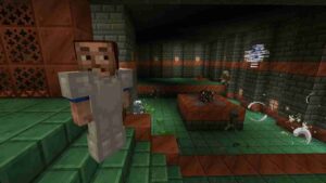 Minecraft 1.21.30 3