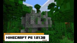 Minecraft 1.21.30 2